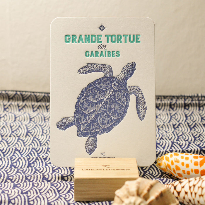 Letterpress Card Large Turtle from the Caribbeans