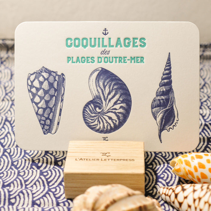 Carte Letterpress Coquillages des Plages d'Outre-Mer