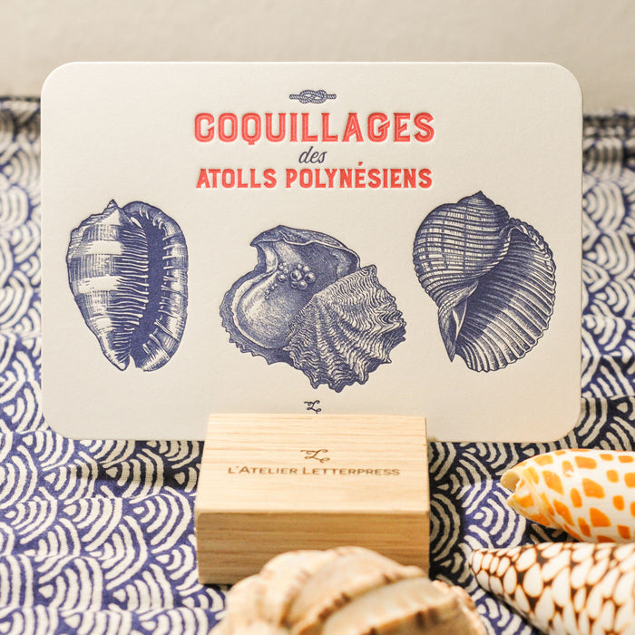 Carte Letterpress Coquillages des Atolls Polynésiens