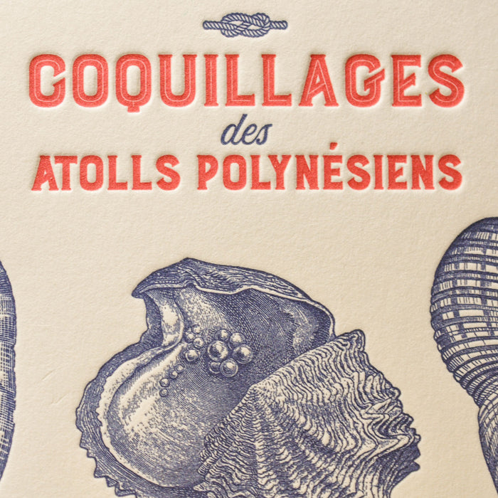Carte Letterpress Coquillages des Atolls Polynésiens