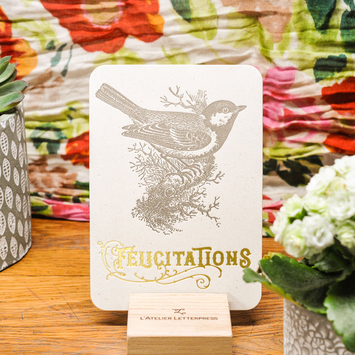 Letterpress Greeting Card Congratulations Tit (with envelope)