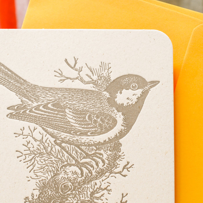 Letterpress Greeting Card Congratulations Tit (with envelope)