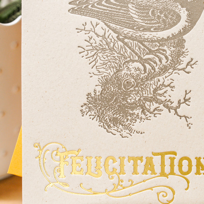 Letterpress Greeting Card Congratulations Tit (with envelope)