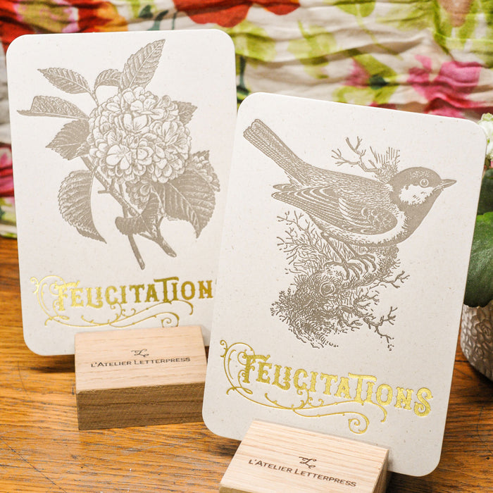 Letterpress Greeting Card Congratulations Tit (with envelope)