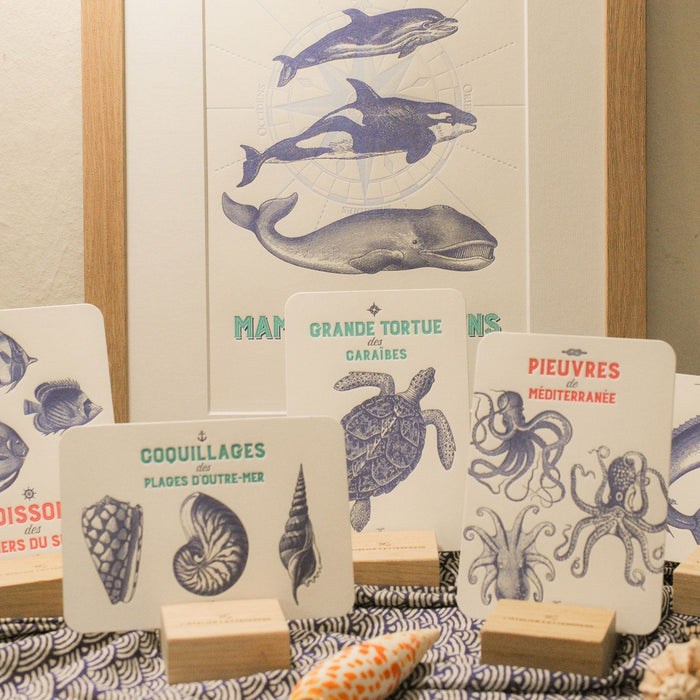 Carte Letterpress Poissons des Mers du Sud