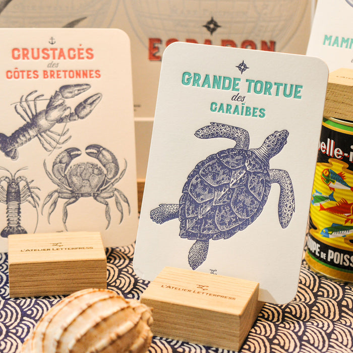 Collection de 10 Cartes Letterpress Compagnie Maritime